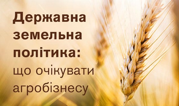 Державна земельна політика: що очікувати агробізнесу