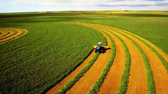 Як перевірити своїх бізнес партнерів та на що звернути увагу при укладанні з ними договорів