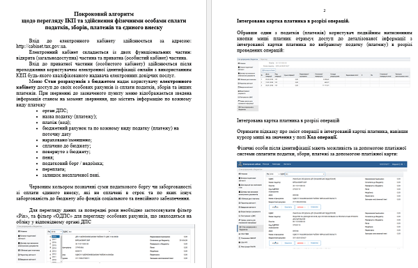 Як в Е-кабінеті отримати доступ до ІКП та сформувати Витяг про стан розрахунків з бюджетом: інструкція ДПС