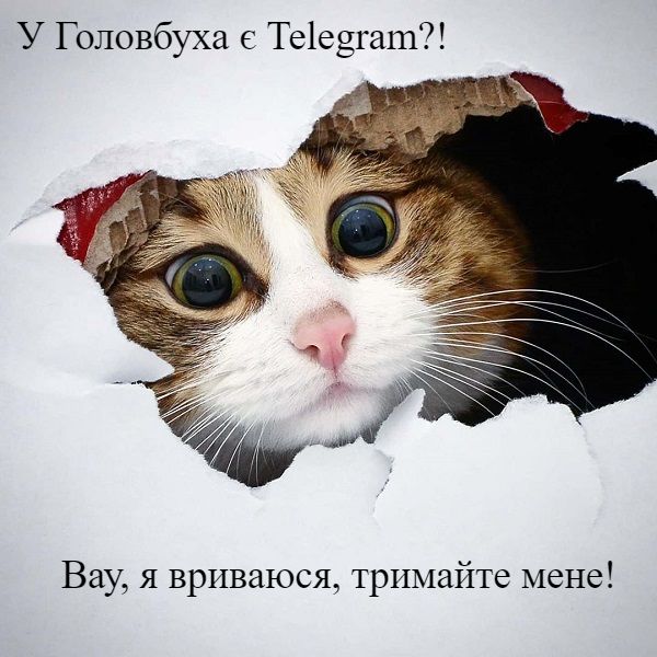 Головбух у Telegram