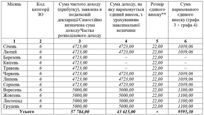 Отчет по ЕСВ ФЛП 2020 года: образцы заполнения