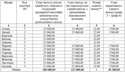 Отчет по ЕСВ ФЛП 2020 года: образцы заполнения