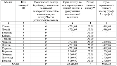 Отчет по ЕСВ ФЛП 2020 года: образцы заполнения