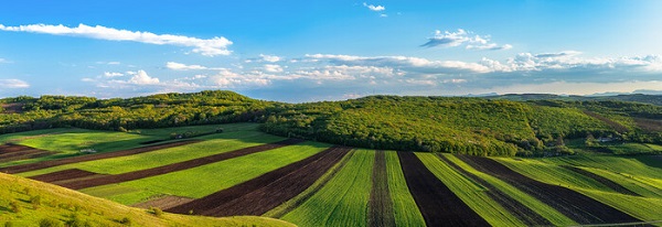 сільгоспземлі