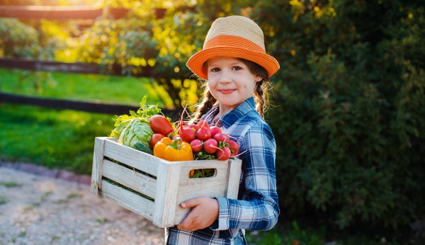 органічна продукція