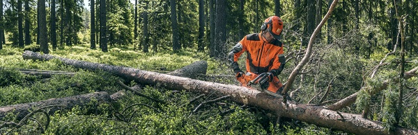 За 101 ЦПД-шного працівника лісгосп сплатить більше 12,5 млн. грн штрафу