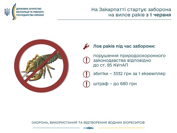 З 1 червня по 25 липня 2022 року у водоймах Закарпатської області заборонили ловити річкових раків