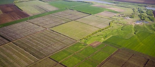 У Держземкадастрі розширили принцип екстериторіальності