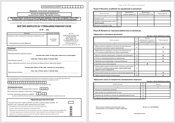 Звіт про витрати на утримання робочої сили (форма № 1-РС)