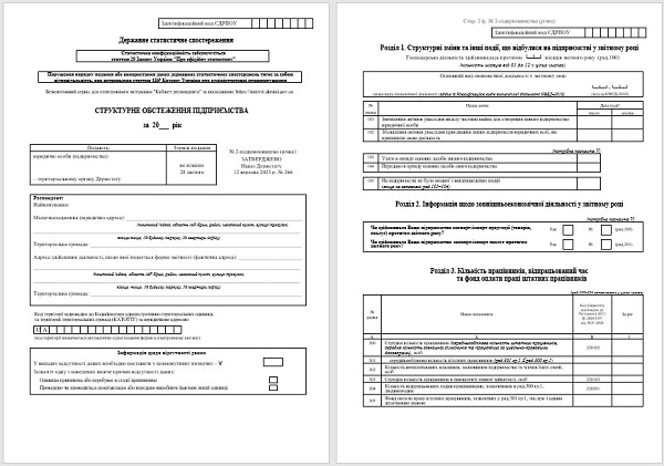 Форма № 2-підприємництво (річна)