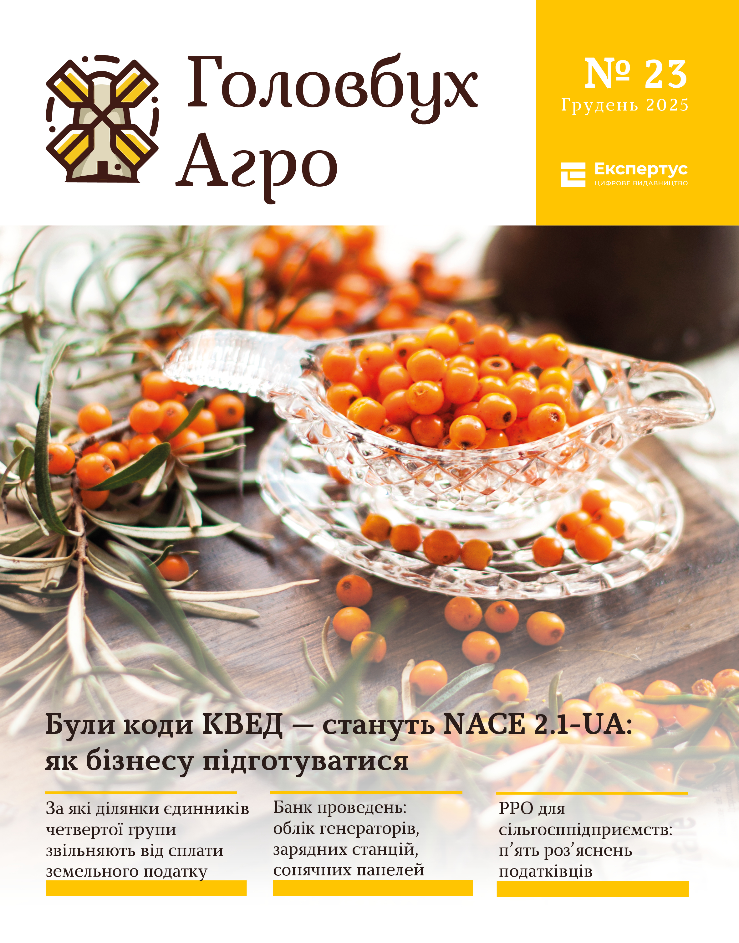 головбух агро