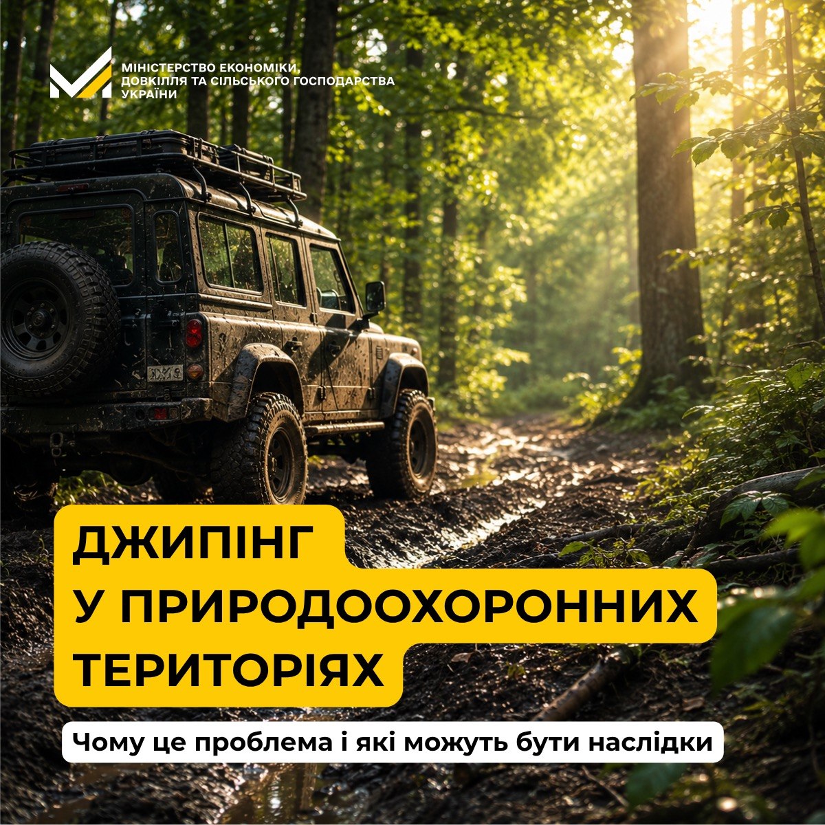 Джипінг у природних зонах: що чекає на порушників?