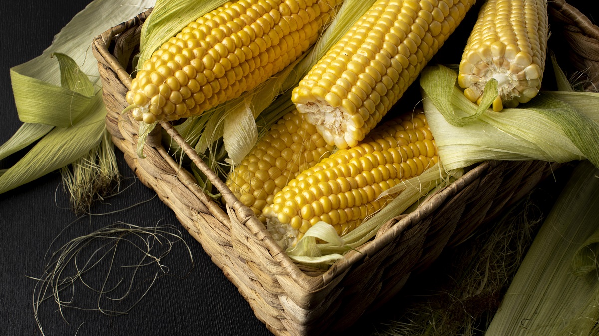 Прийом заявок на отримання насіння кукурудзи на весняну посівну достроково завершений