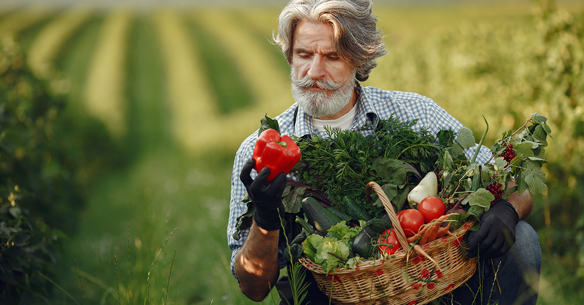 Гранти на сади та теплиці: прийом заяв в Дії вже із 2 лютого
