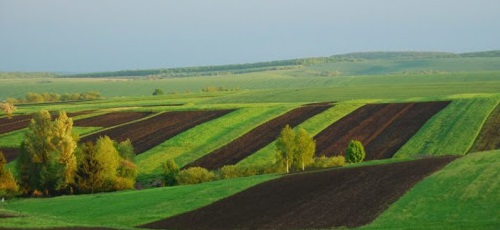 З 1 травня документацію із землеустрою Держгеокадастр погоджує по-новому