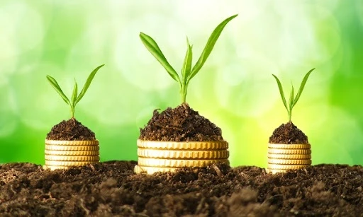 Друге пілотне впровадження Державного аграрного реєстру: із 2 вересня