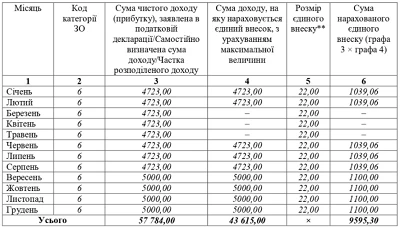 Звіт з ЄСВ ФОП за 2020 рік: зразки заповнення