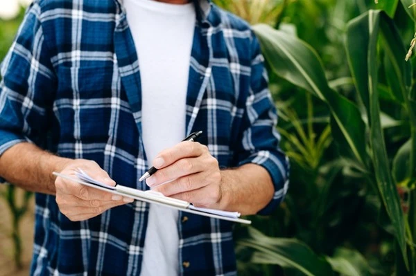 Додаток 8 декларації з ПДВ: як заповнювати сільгосптоваровиробнику сільськогосподарські товаровиробники