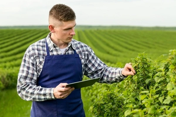 Фізособа отримала ділянку для ведення фермерського господарства: хто сплачує земподаток