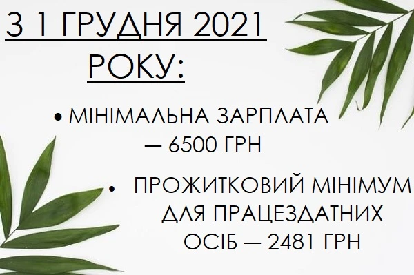 Мінімальна зарплата в 2021 році Прожитковий мінімум на 2021 рік