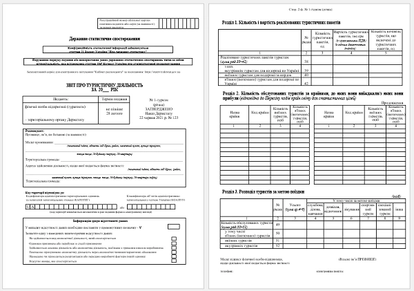 Форма 1-туризм годовая бланк для физлиц
