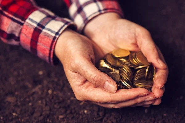 Уряд створив фонд часткового гарантування кредитів у сільському господарстві