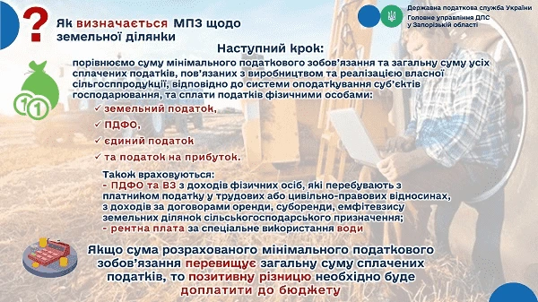 минимальное налоговое обязательство 2024