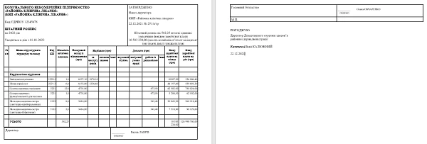 Штатний розпис медичного КНП зразок 2025