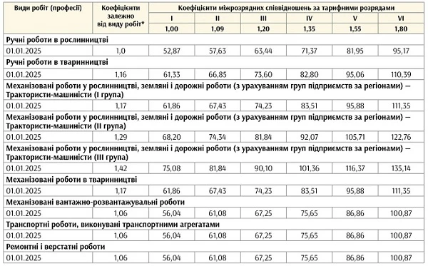 Минимальные часовые тарифные ставки в 2025 году Минимальные часовые тарифные ставки в 2025 году