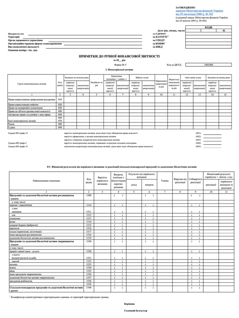 Примітки до фінансової звітності. Форма 5 Бланк приміток до фінансової звітності за формою № 5