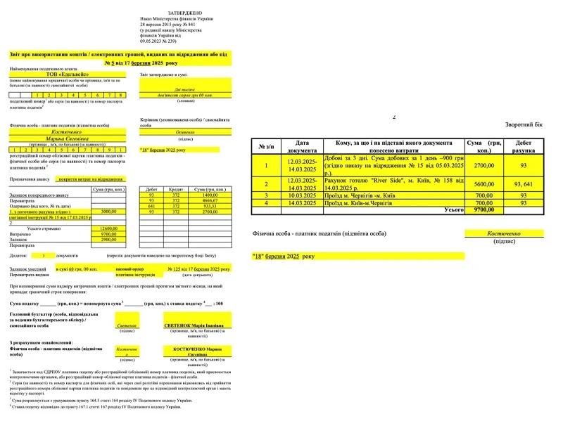 образец авансового отчета