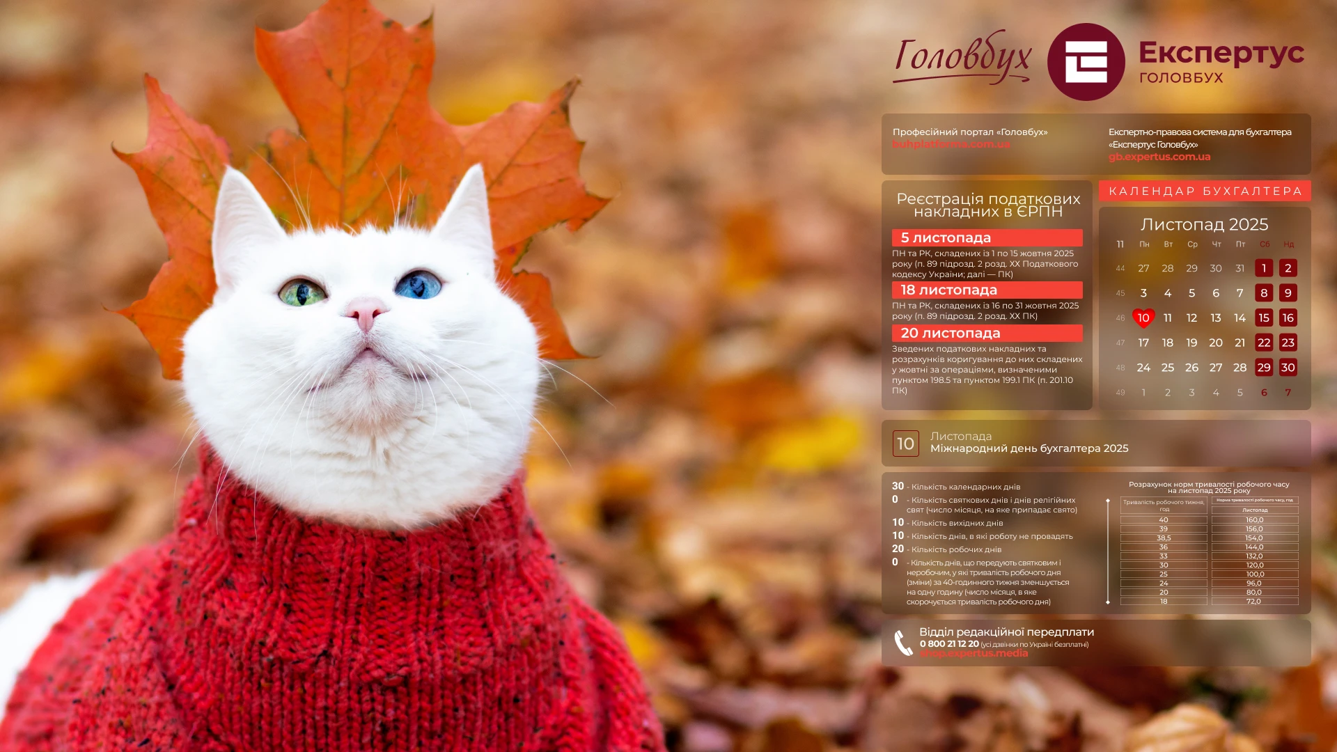 📅 Шпалери на робочий стіл з календарем робочого часу на листопад 2025 року