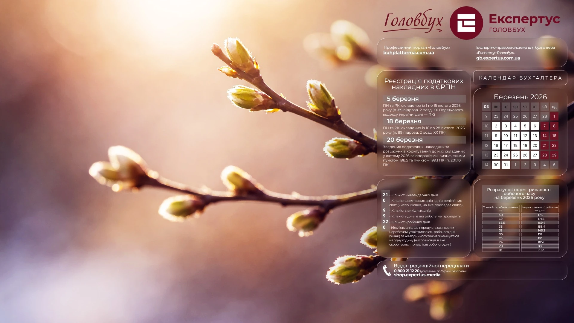 Шпалери на робочий стіл з календарем робочого часу на березень 2026 року