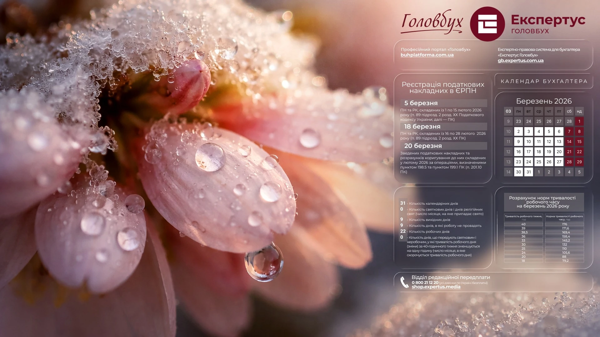 Шпалери на робочий стіл з календарем робочого часу на березень 2026 року