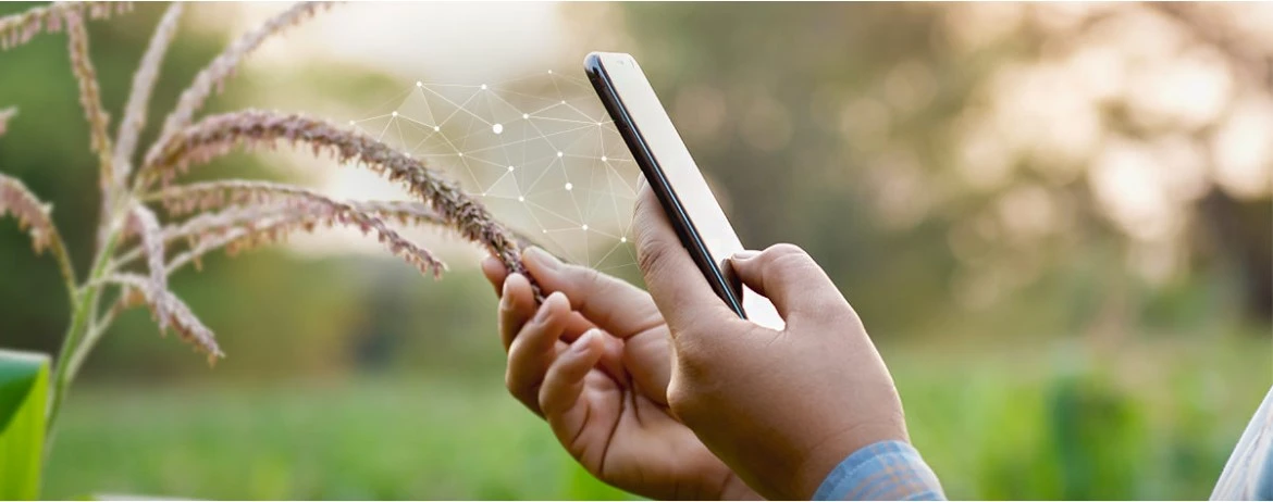 Стартував прийом заявок від аграріїв в межах програми з розмінування