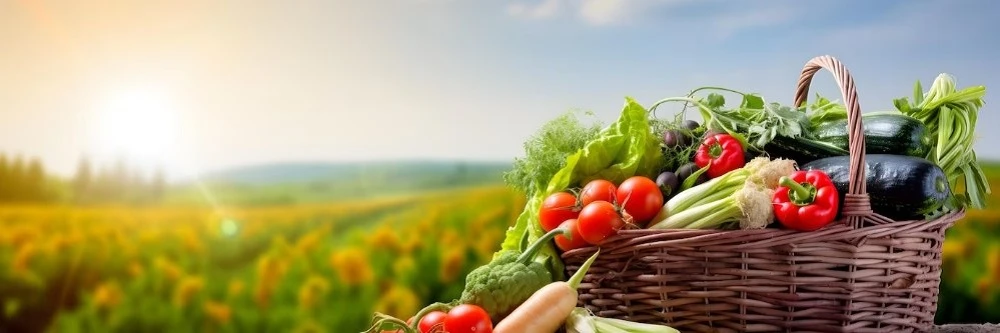 З 5 червня на експорт окремих видів агропродукції до ЄС діятимуть нові правила