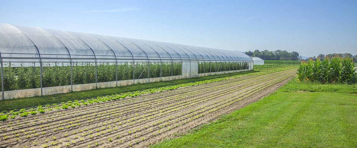 Президент підписав закон про створення Виплатної агенції для аграріїв