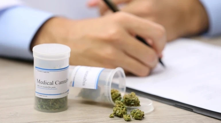 Оновили ліцензійні умови, які врегульовують всі етапи обігу медичного канабісу