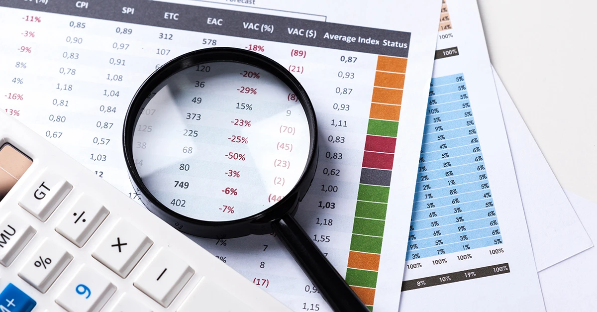 План-графік документальних перевірок ДПС – 2026: як знизити свої податкові ризики