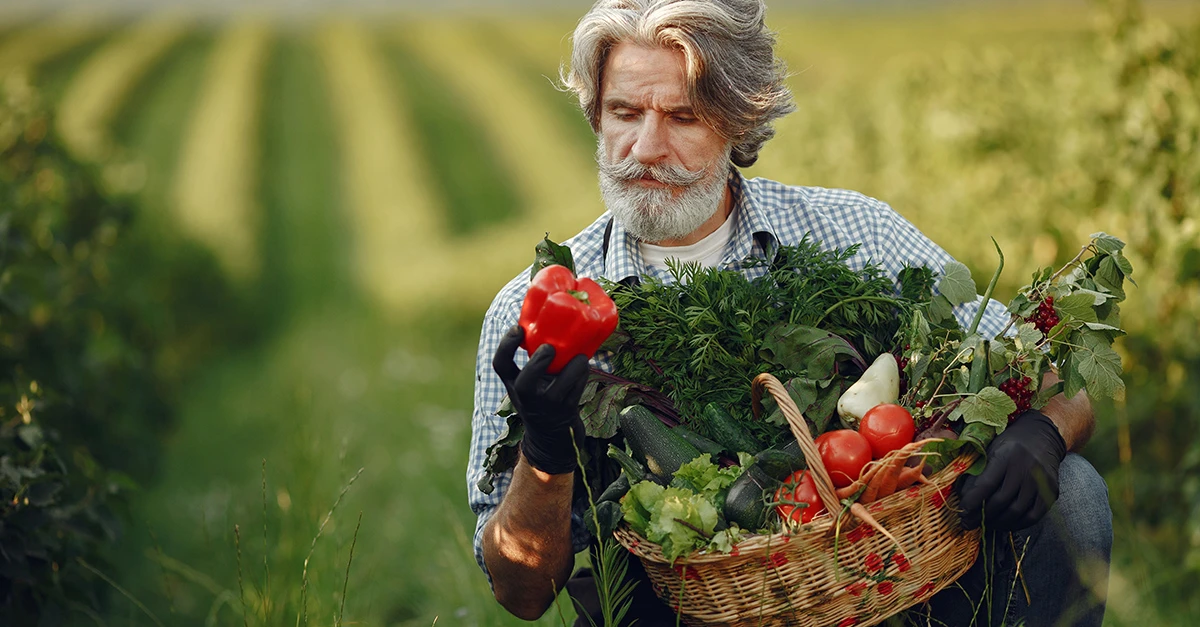 Гранти на сади та теплиці: прийом заяв в Дії вже із 2 лютого