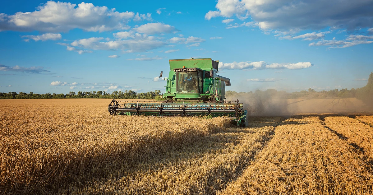 Ваучери на 1 500 доларів для весняної посівної: стартував прийом заявок