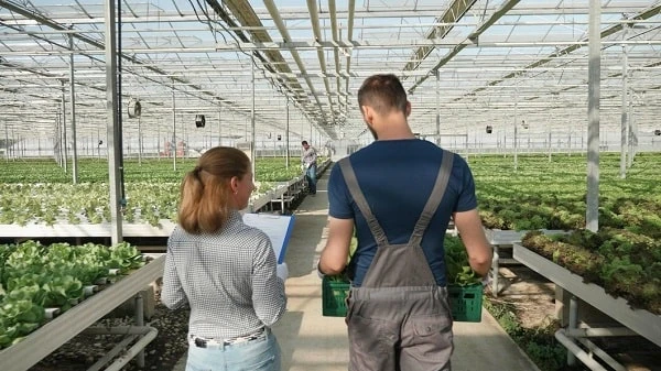 Оновили критерії важливості підприємств в галузі сільського господарства