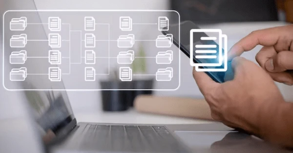 ДПС оновила «Єдине вікно»: що змінилось