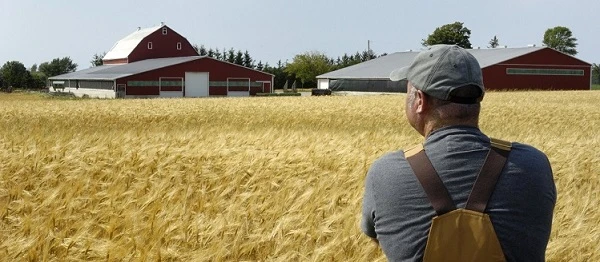 Фермерські господарства реорганізують на пільгових умовах