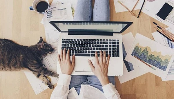 Проєкт змін до КЗпП: депутати хочуть узаконити роботу домашніх працівників В Україні урегулюють працю домашніх працівників