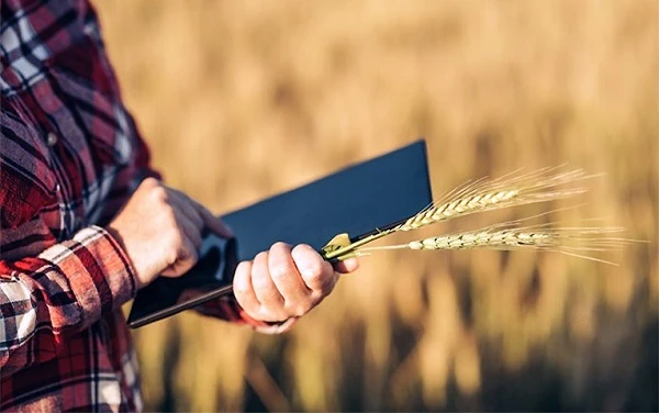 Як отримати грант на переробку: роз’яснення Мінекономіки