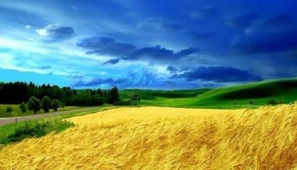 Справляння єдиного податку четвертої групи на територіях активних бойових дій з функціонуванням держреєстрів