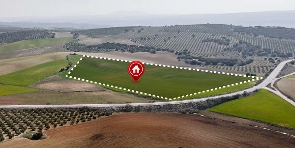 Особливості заповнення декларації з плати за землю за нововідведену ділянку
