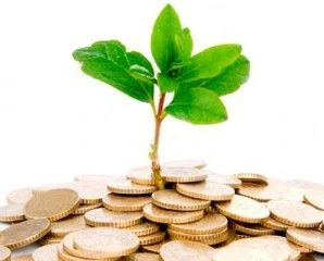 Як обліковуються у декларації екоподатку обсяги забруднюючої речовини за кожним видом Як обліковуються у декларації екоподатку обсяги забруднюючої речовини за кожним видом