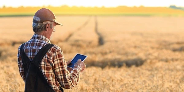 ДПС посилить оподаткування спрощенців на 4 групі: чому